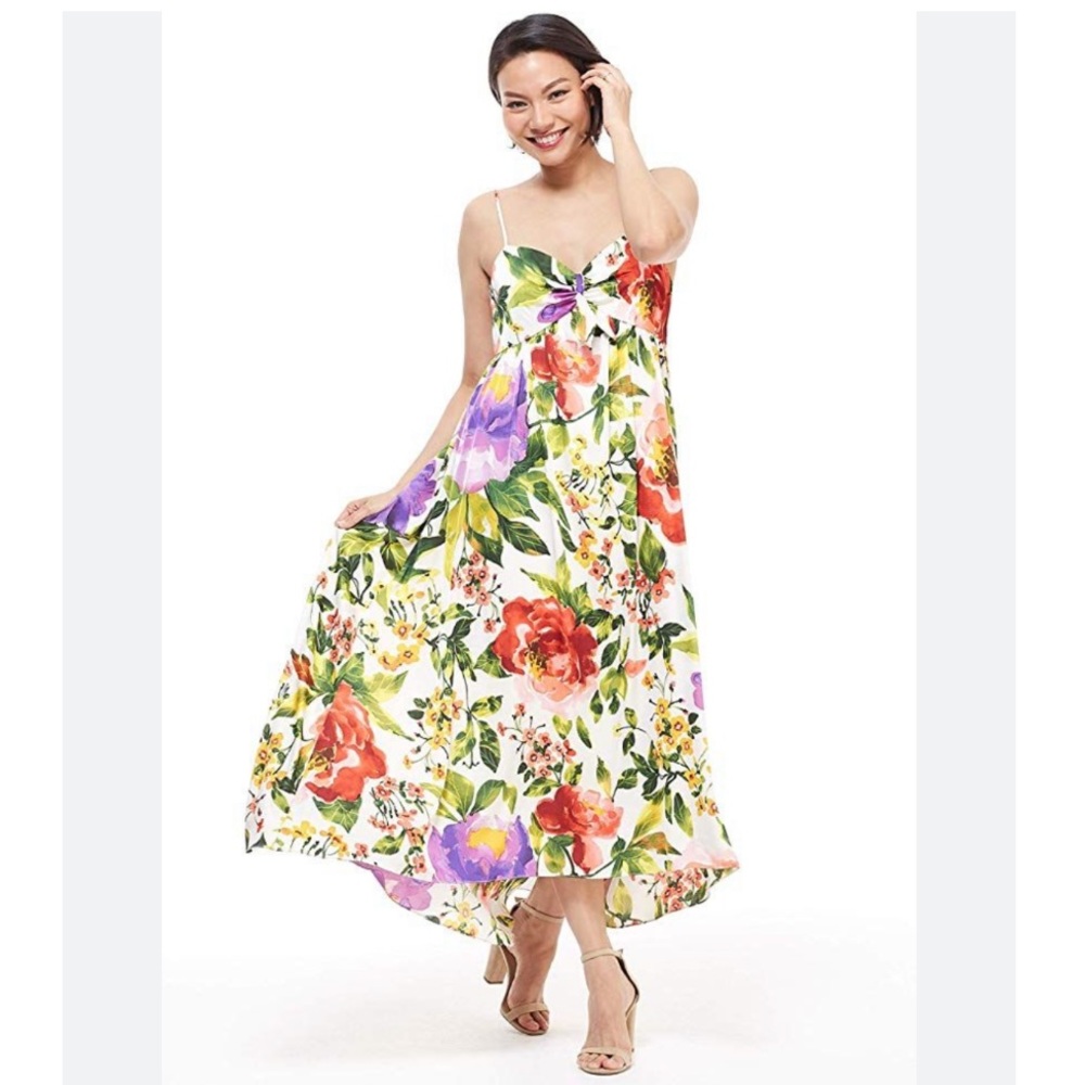 NWT London Times Emiliana Maxi Size 10